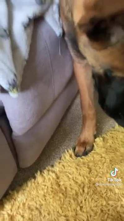 He’s just a little bit special…