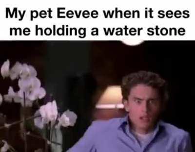 I like Vaporeon NOT FOR THAT REASON but it is my favorite evelution