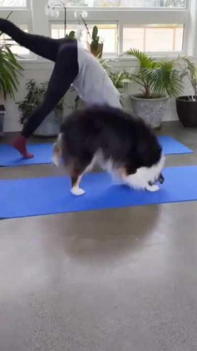 Yoga buddy