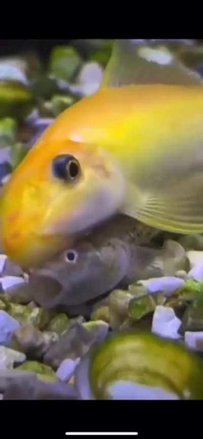 When she finds out you have Tesla calls ð¥µ