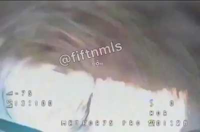 UA drone gets shot down by a cat