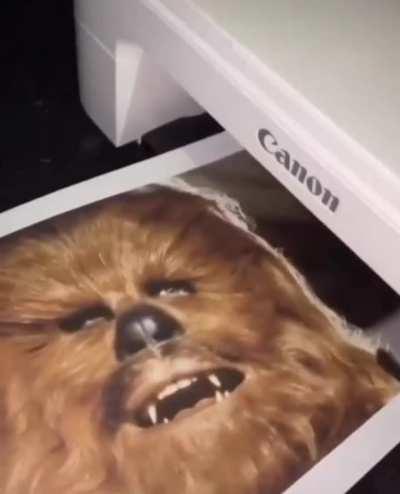 Chewbacca from Star Wars