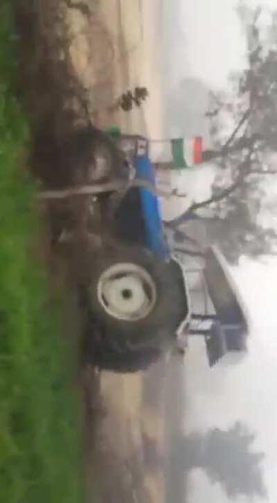 Meanwhile back at the farm....