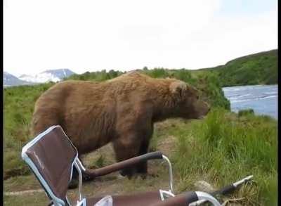 На Камчатке медведь подсел к рыбаку и посмотрел с ним на местные пейзажи. Животное не стало нападать. Посидел рядом с человеком, полюбовался природой и ушел. Видимо у автора видео стальные нервы.