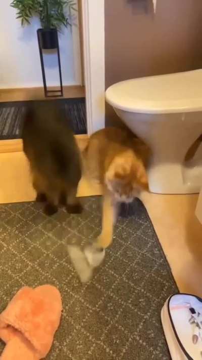 There is always such a friend 😹😹