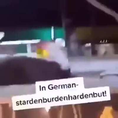 blursed_german