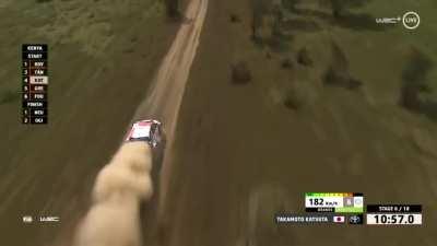 Following a WRC car going up to 193kmh (119mph) in Kenya Safari