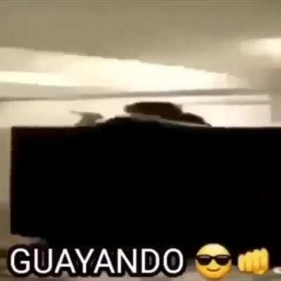 GUAYANDO 😎👊