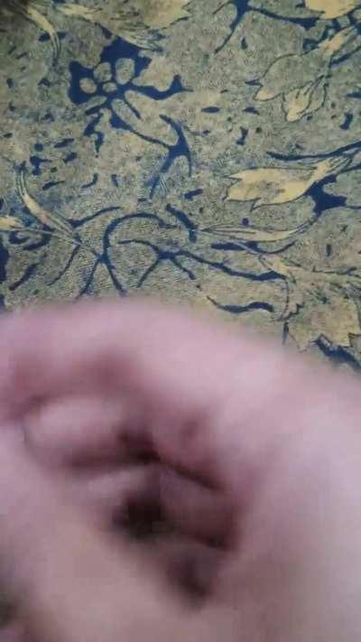 Blud the toss was rigged, riyal footage