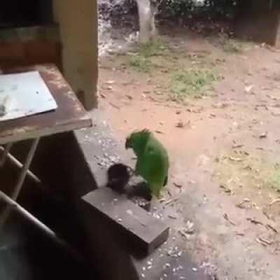 Ready to go on tour! (sorry if repost)