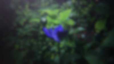 I've been working on PC rhythm game for the past year and DEMO is now out!