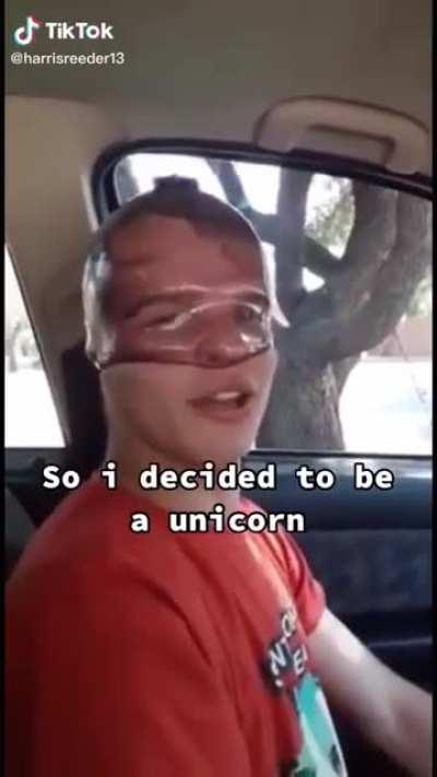 Quiero ser unicornio