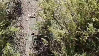 Ukrainian drone drops projectile on Russian T-72 tank
