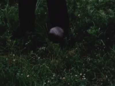 Jakq is the show of all time