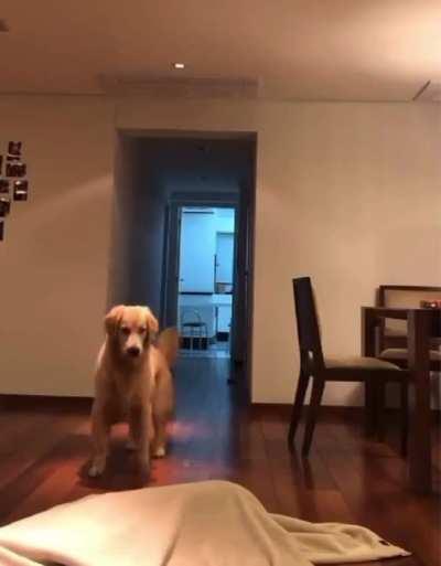 Took a moment for the brain cell to spin up