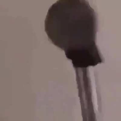 You've been bonked caw caw