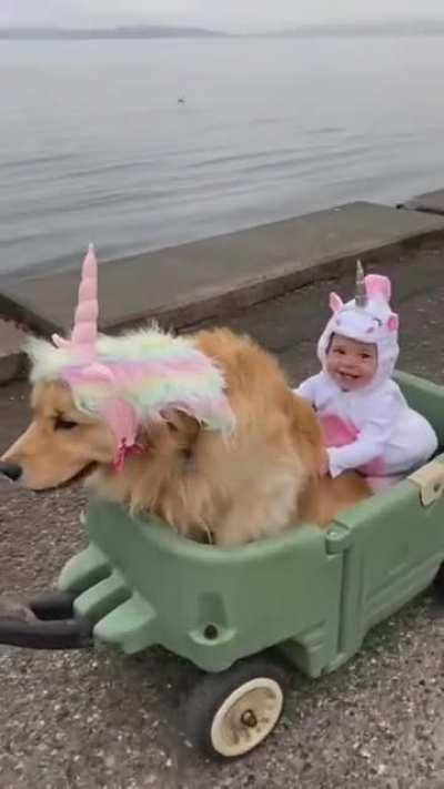 Look the baby unicorn is so happy