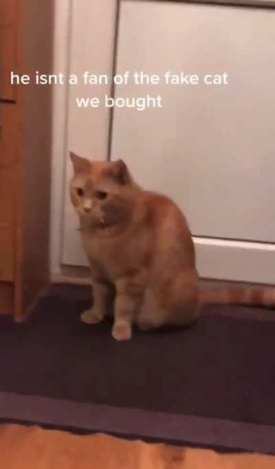 Not sure if this has been posted before but she really isn’t happy