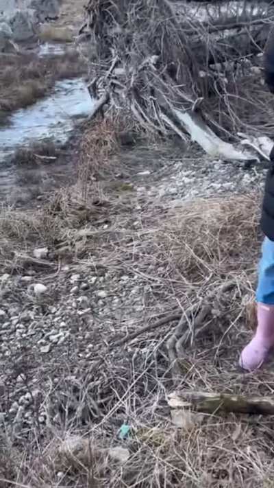 Michigan woman extinguishes a fire