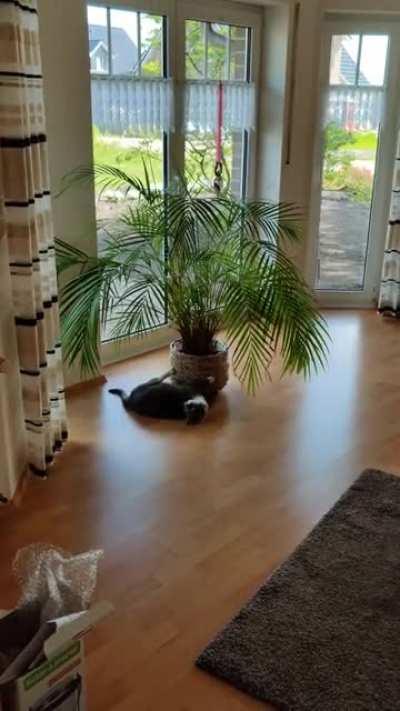 You spin me right round baby right round