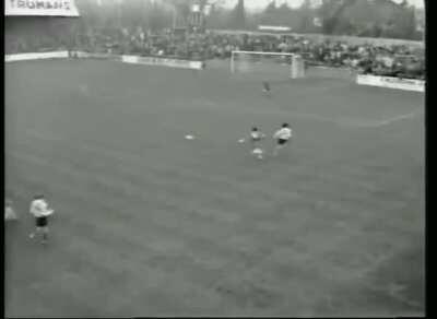 Felipe melo antes de encarnar no corpo de um ser humano