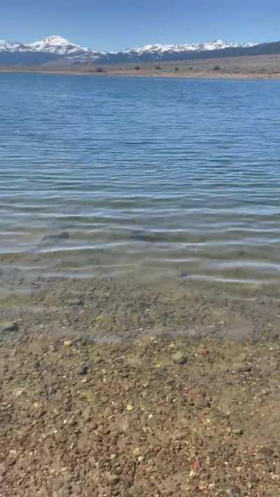 Perfect spot to suck ;) I hope someone saw us [gif]