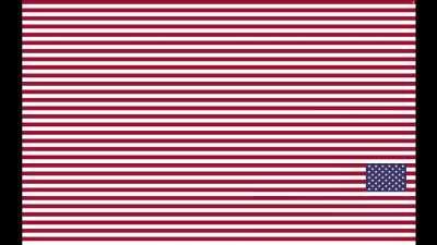 American Flag, but I zoomed out and turned it into a DVD player by changing the code of a website and screen recording it, but it doesn't bounce right because I don't know JavaScript.