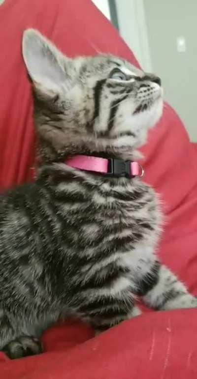 So vocal. This is extra fun at 2am 🥰