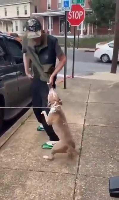 The video of this man allowing his dog to attack another man was posted to r/facepalm and is obviously in your city