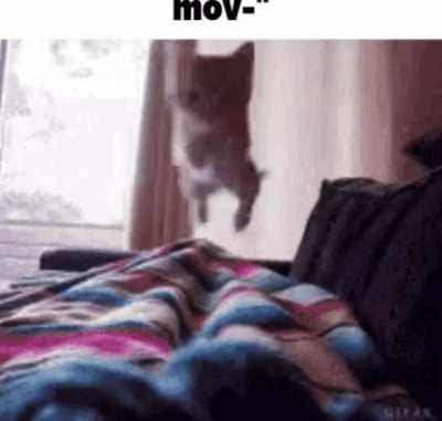 Think fast chucklenuts!