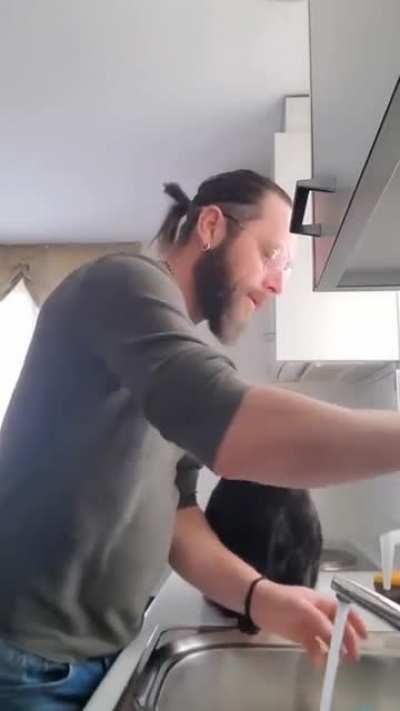 A cute black cat tries to get kisses from owner while he's doing the dishes
