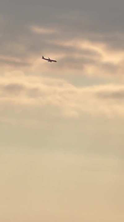 Azerbaijan Airlines flight 8243 flying repeatedly up and down before crashing.