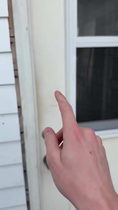 These looting are out of control