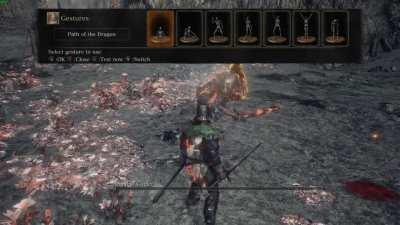 Perfect Gestures Timing - Believe it or not, this is from random Warrior of Sunlight sign.