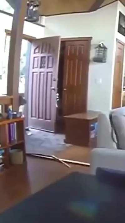 Good morning fellow bulls, wake up 🌈🐻