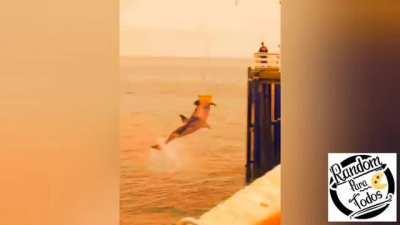 I'm 15 and this is yeet