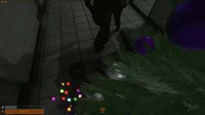 the gun in question: