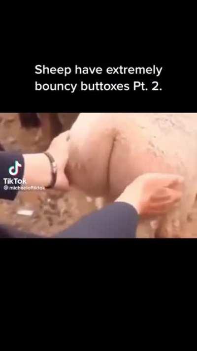 THIS IS NOT BEASTIALITY!!