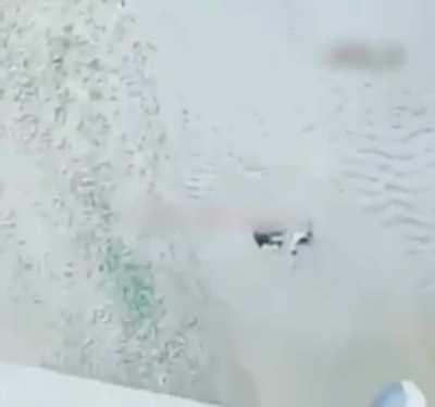 Woman Bungee Jumps, Falls Directly Into Water (Survived)