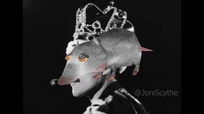 I was on a dog walk and this popped into my head