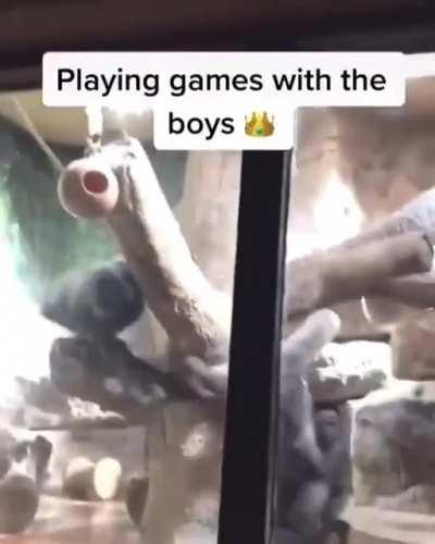 Men only have two kinds of moods caw caw