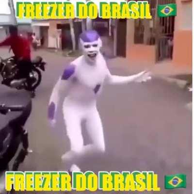 FREEZER DO BRASIL MANITO KKK