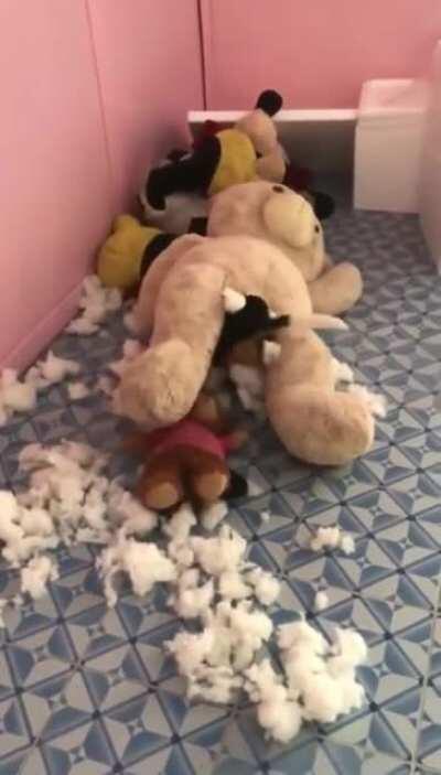 Help the poor kitty!!!