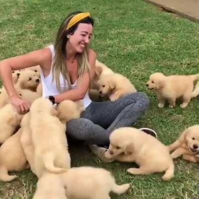 HuNgry Pack OF RavENoUs wolvEs TriEs TO EAT a woMan aLIvE