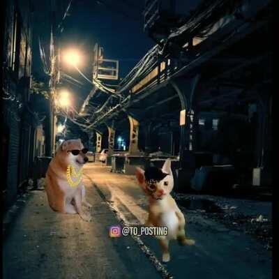 Les traigo un poco de cultura Chilena