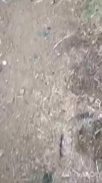 Array ye kya dekhlia 😂😂