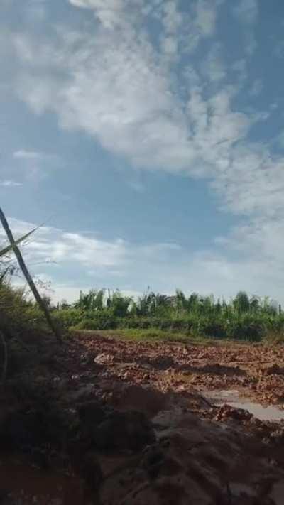 Orochi, paga os Ifood