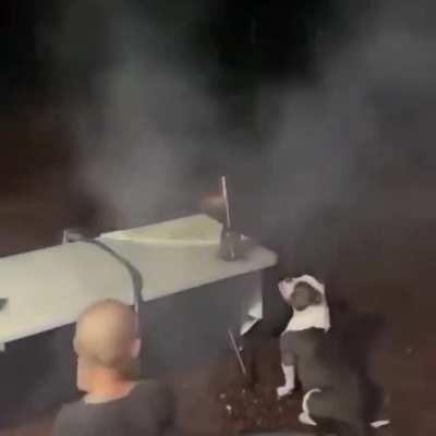 Jump.exe has crashed and requires debugging