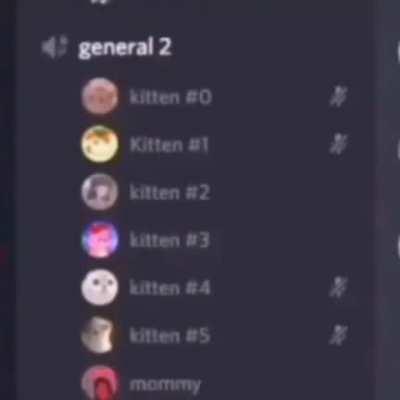 Average discord user 💀