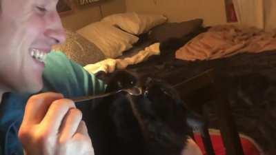 Guy mesmerizing by cat